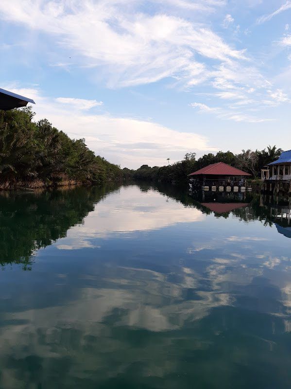 File photo of an idyllic river with mangrove verges in Kota Tinggi, Johor. The state assembly heard that water sources in the area have been affected by low rainfall.