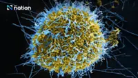 Ebola watch: Thailand stays on high guard against imported cases
