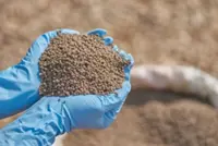 Phosphate and the new geopolitics of strategic resources