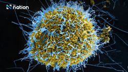 Ebola watch: Thailand stays on high guard against imported cases