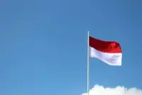 Indonesia police name Singapore-based palm oil group Musim Mas as suspect over environmental breaches