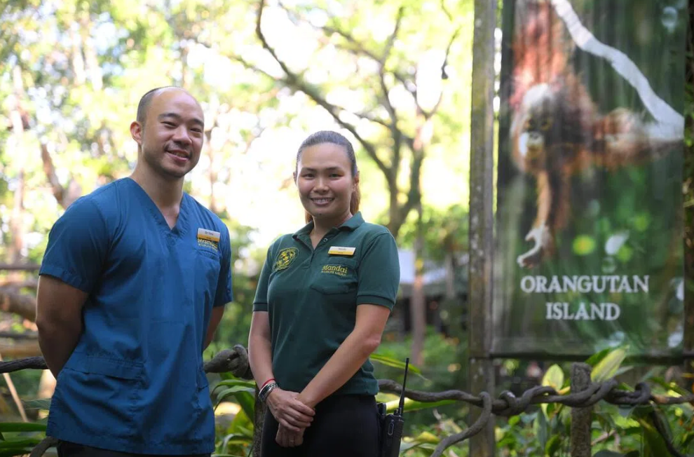 Mandai’s curator of primates and animal care (operations) Wendy Chua (right) and deputy vice-president of veterinary healthcare and scientific programmes Heng Yirui were involved in delivering Ayaan. - ST