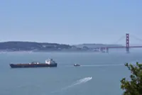 San Francisco turns to AI to avoid collisions between ships and whales searching for food