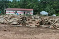 GOF seizes RM4.3mil in logs, machinery at illegal timber processing yard in Kedah