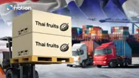 Thai fruit exports surge 56% in first quarter as Commerce Ministry drives aggressive global campaigns