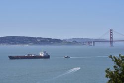 San Francisco turns to AI to avoid collisions between ships and whales searching for food