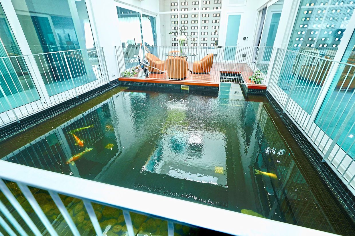The koi pond that doubles as a swimming pool.
