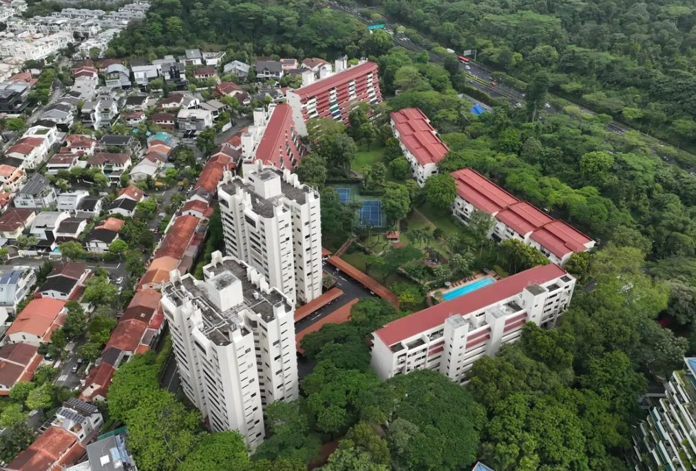 Singapore citizens pay 20 per cent ABSD when purchasing a second residential property and 30 per cent for a third and subsequent home.