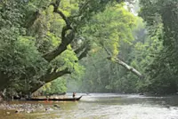 Being in nature boosts life satisfaction
