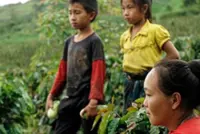 Laos advances national strategy to eliminate child labour