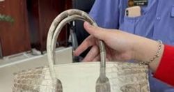 Vietnam auctions convicted tycoon's Hermes handbags for over US$500,000