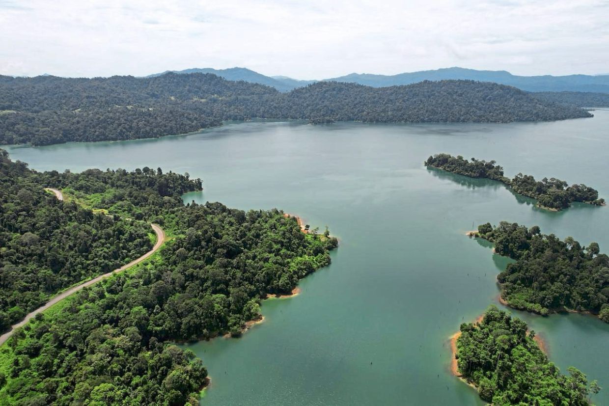 The project is set within a landscape shaped by submerged remnants of former forests, fluctuating water levels and sensitive ecological zones.