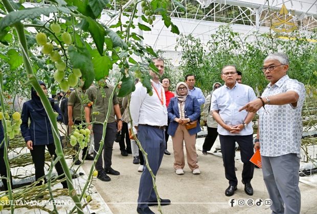 Here are your top stories:

1. Pahang Sultan told farmers, green-house operators in Cameron Highlands to minimise pesticide use