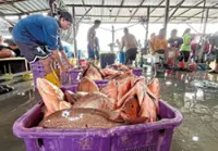 The monsoon season, rains, economic prosperity for millions of Mekong farmers, and blessings for crop cultivation