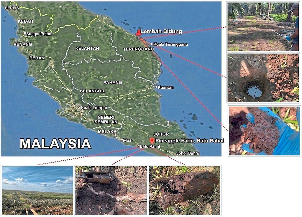 Sampling sites at Lembah Bidong, Terengganu, and Batu Pahat, Johor. Dark, carbon-rich peat was recorded at all depths measured. Unlike mineral soils, there was no transition to non-flammable substrate even at 75cm. — Malaysia Fire and Rescue Department/research team