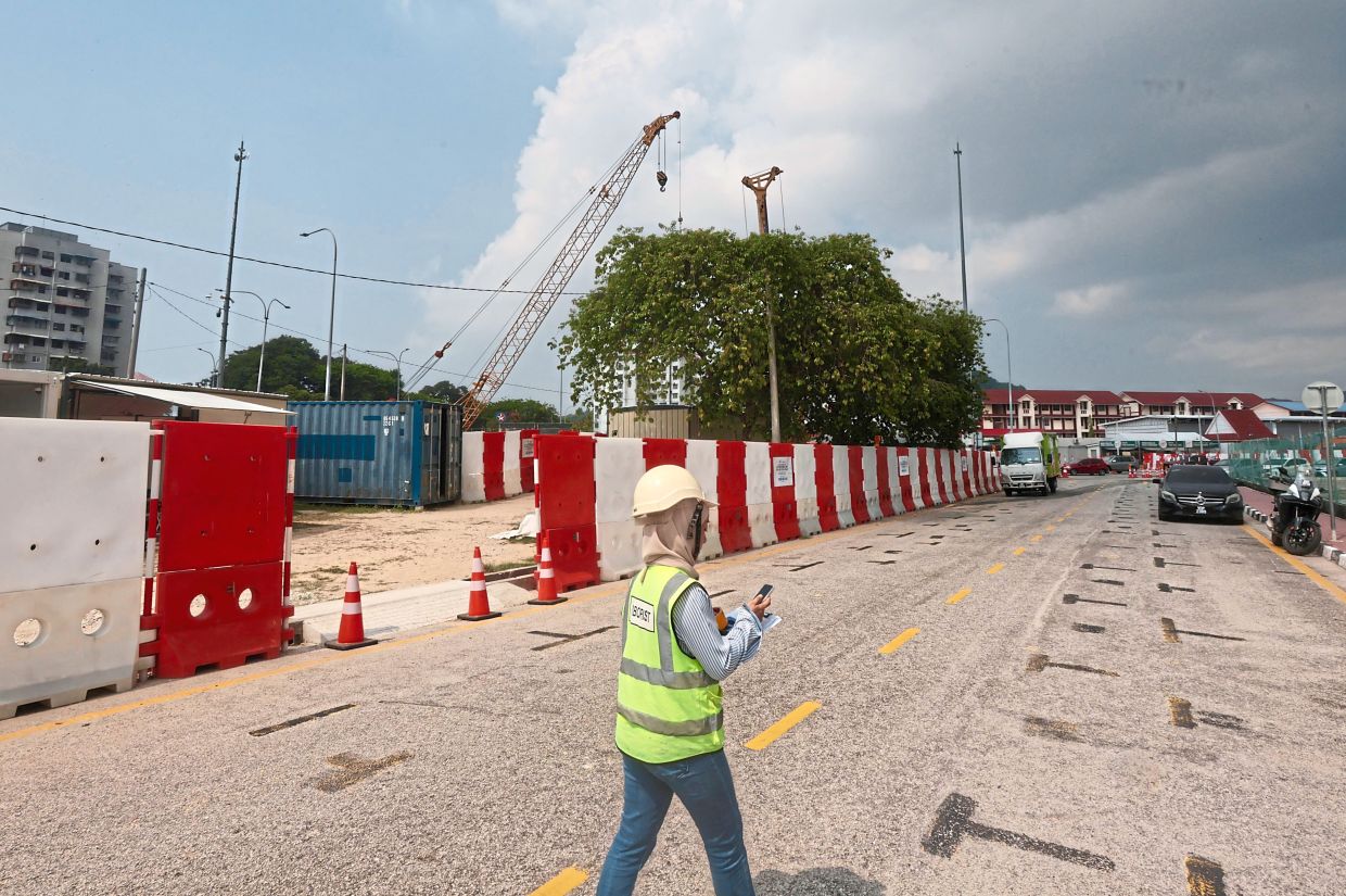 Mardiana assessing the condition of trees slated for transplantation to make way for the island’s first LRT line, while a contractor (below) carefully prunes 10-year-old rain trees near the Tun Dr Lim Chong Eu Expressway before they are replanted.