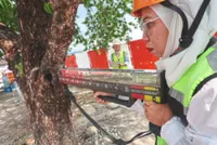 Penang Mutiara Line: Triple replanting to boost Penang’s urban canopy