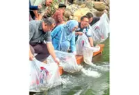 Johor record fish release reels in more tourists