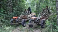 Jungle raid: Cambodia military seize illegally felled timber in 4am forest operation