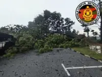 Five vehicles damaged by falling trees in KL storm
