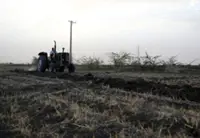Iran war poses new threat to harvests in hunger-stricken Sudan