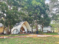 Don't like to camp? Don't worry, Malaysia has cool glamping spots too