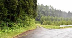 Human body parts found in bear’s stomach in Japan's Yamagata Prefecture; confirmed as 78-year-old man