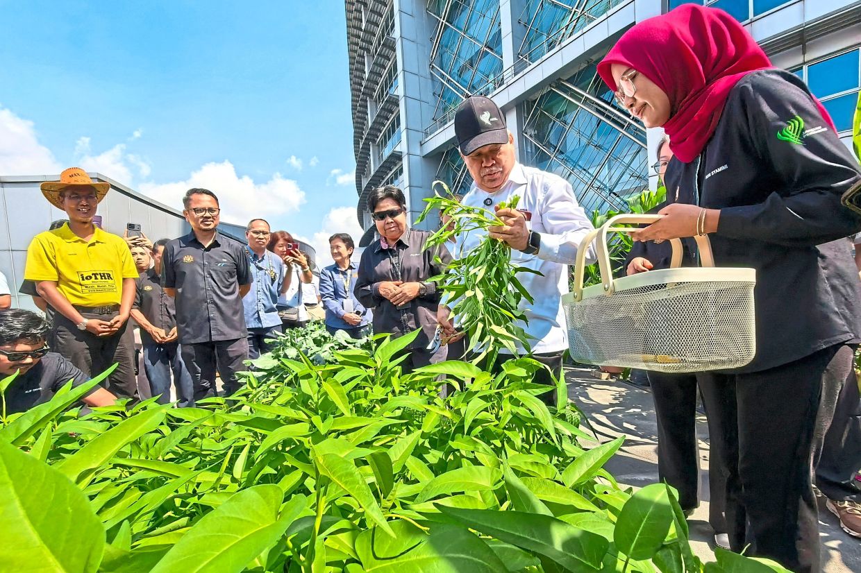 A total of 65% of padi cultivation areas under the Muda Agricultural Develop­ment Authority (Mada) are now ready for the planting season, with farmers expected to begin sowing seeds after Hari Raya Aidiladha.