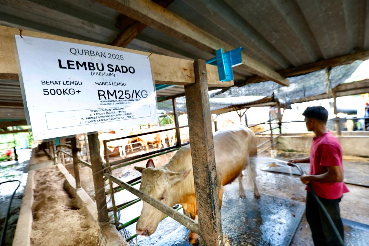 The supply of livestock for Hari Raya Aidiladha is sufficient to meet nationwide demand, says the Agriculture and Food Security Ministry.