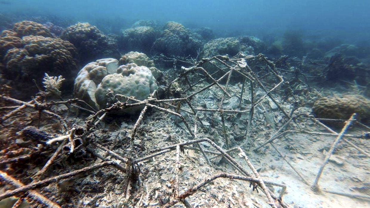 Firm action will be taken against the culprits responsible for the fish bombing incident at a Coral Reef Resto­ration Site in Pulau Selakan under the Tun Sakaran Marine Park (TSMP) in Semporna, Sabah.
