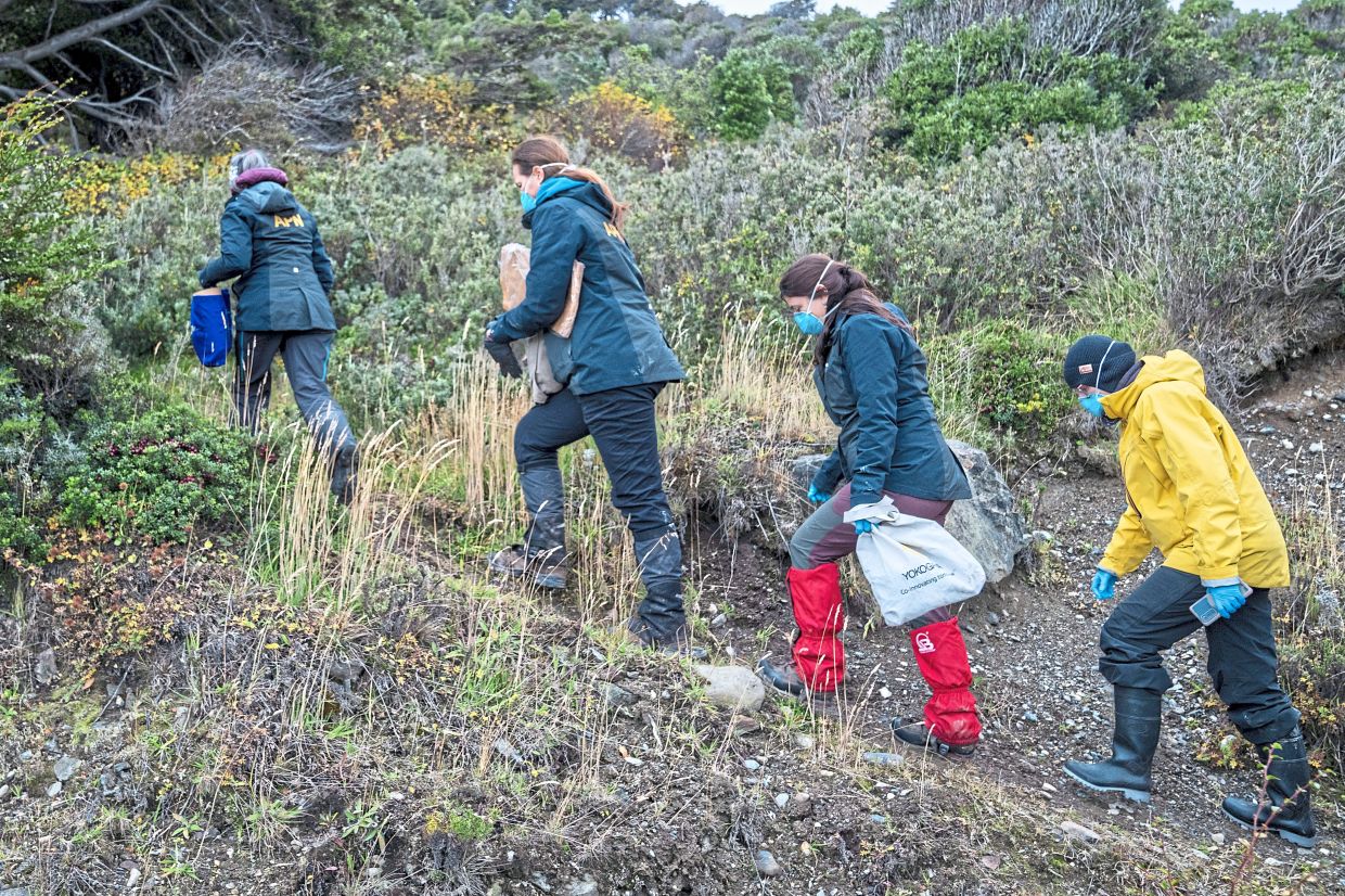 Argentine scientists collecting traps placed at different points across Ushuaia on May 19. — AP