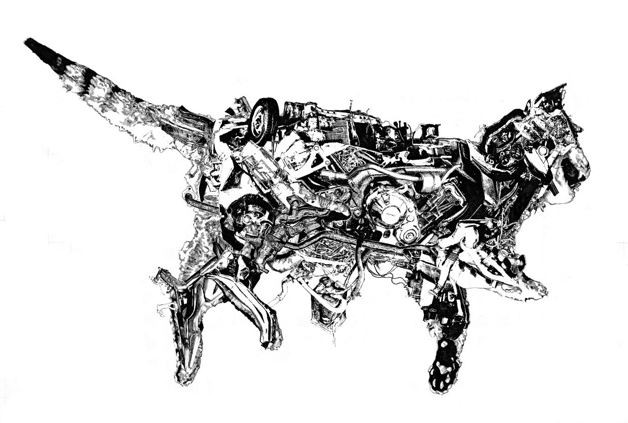 In detailed works such as ‘Felis' (pen on paper, 2026), Oo invites viewers into his intricate, observational world.
