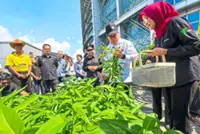 ‘65% of Mada padi fields are ready’