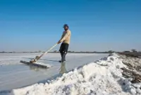 Surviving the salt inferno