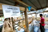 Enough livestock supply for Aidiladha, says ministry