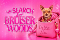 Calling all diva dogs: Singapore theatre company to hold pup auditions for Legally Blonde musical