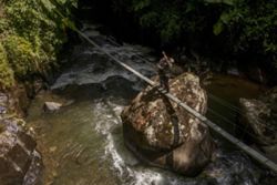 App-driven birding attracts flocks of enthusiasts to Colombia