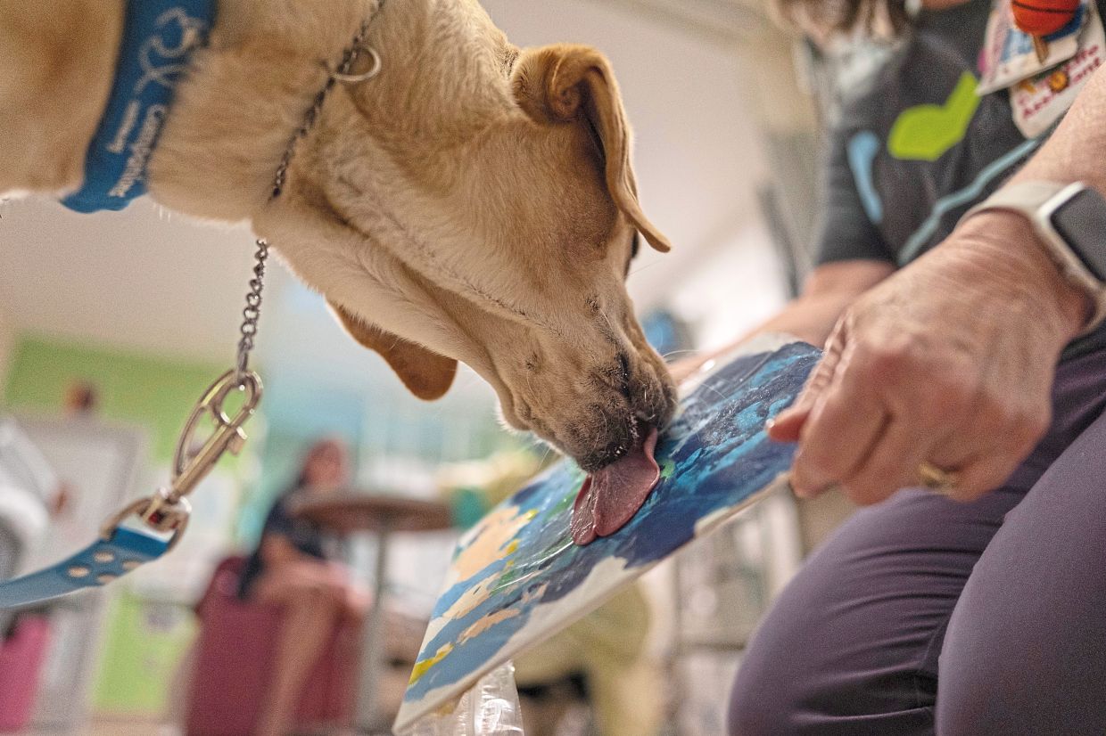 Scott holding a peanut butter-covered plastic bag that has been placed over a child's artwork for Hadley to lick. 
