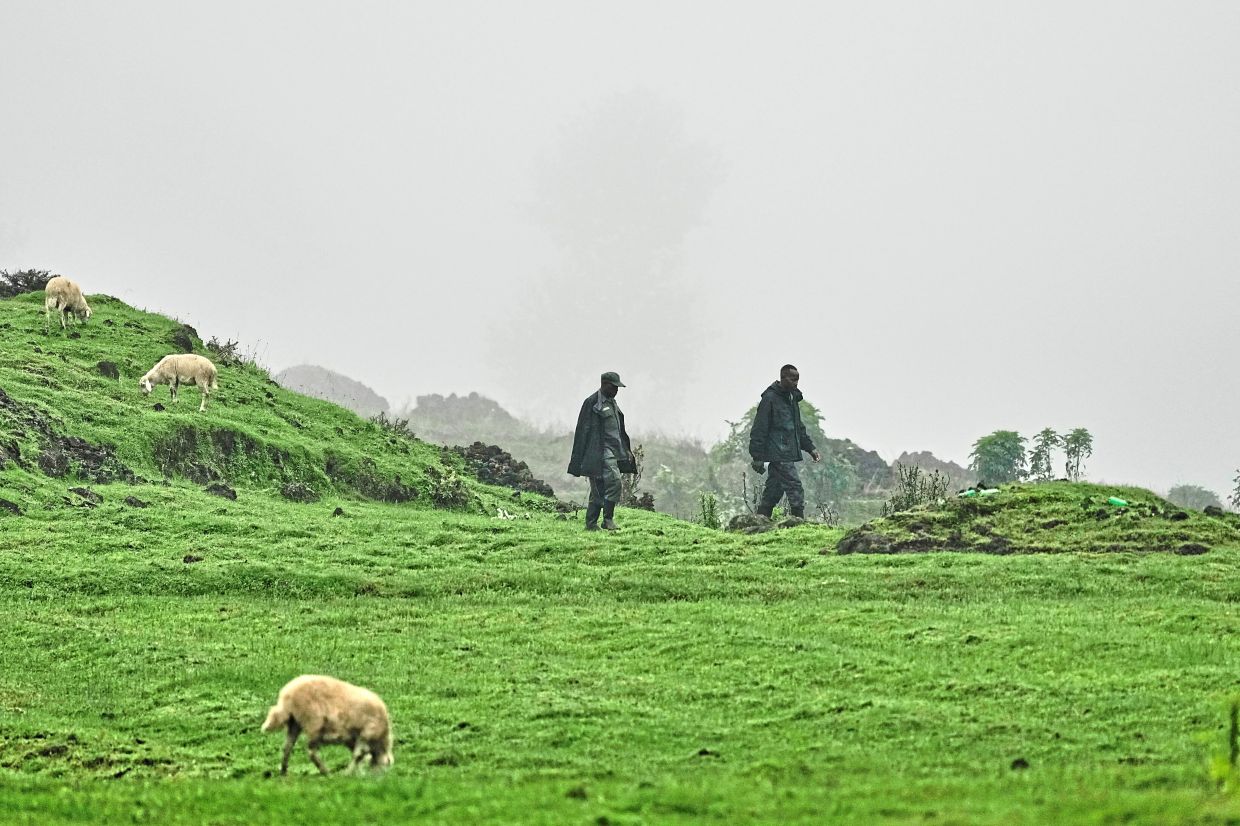 Rangers patrolling the park for poachers. 