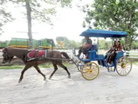Horse and carriage rides available at Taman Tasik Titiwangsa 