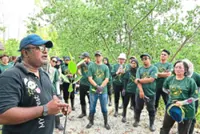 Over 300 mangrove saplings planted in Kuala Selangor park