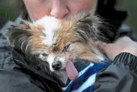 Farewell, Lazare: 'World's oldest dog' contender dies in France aged 30
