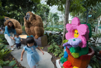 Jewel Changi Airport blooms with 800,000 Lego bricks