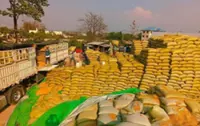 Myanmar to export 1,800 tonnes of corn directly to Thailand in June