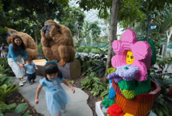 Jewel Changi Airport blooms with 800,000 Lego bricks