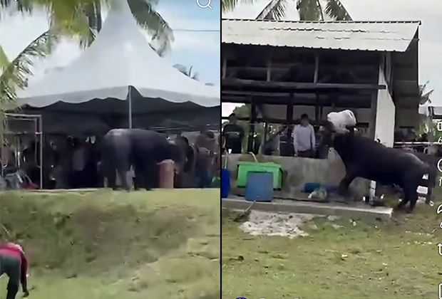 He was rushed to Hospital Sultanah Aminah for treatment, but was confirmed dead at about 11pm on the same day.