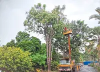 Subang Jaya defaulters face asset seizure from June