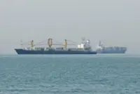 Fed warns of lower global oil and LNG consumption