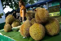 Myanmar holds durian fair to push for entry into global market