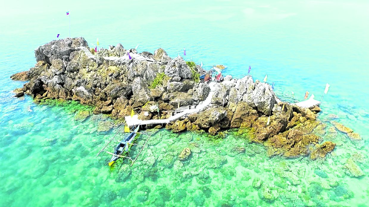 Ligao’s coastal waters get new lease on life